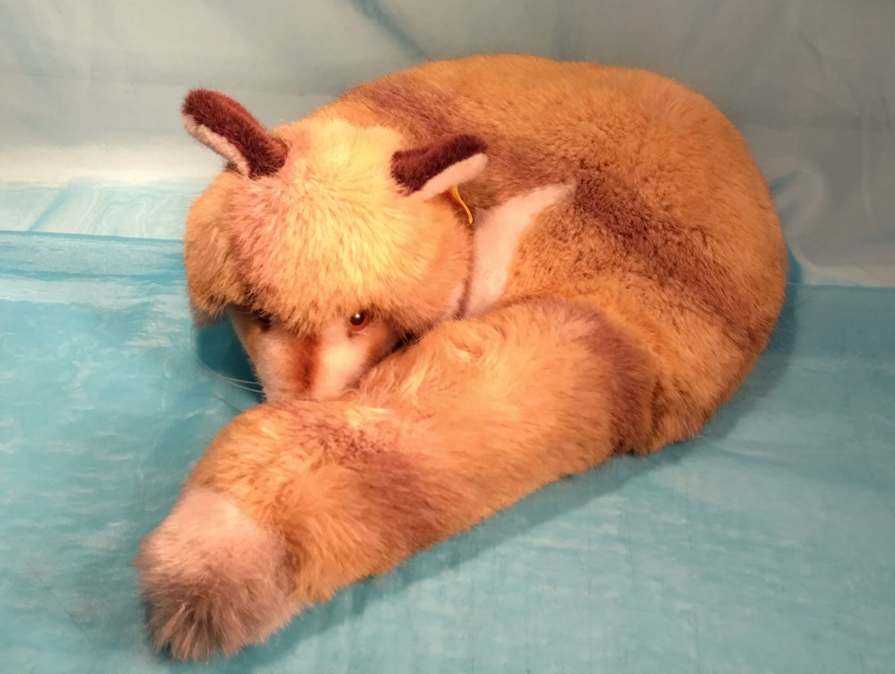 Steiff Giocattoli: Steiff Fuchs, liegend, Durchmesser: 35cm, 1542/35 – Nuovo (secondo la descrizione) da Bellach venduto da JingleCherry