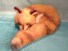 Steiff Fuchs, liegend, Durchmesser: 35cm, 1542/35