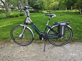E-Bike 28 Zoll | Giant | 2 Akkus | Nexus 8-Gang | Fahrbereit