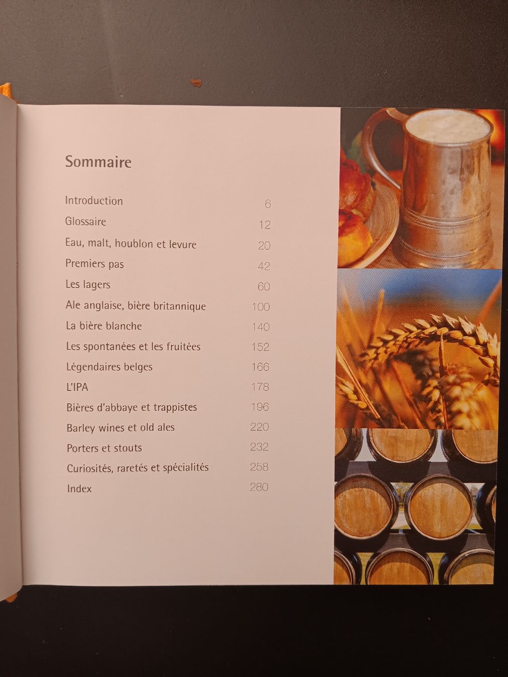 Libri: 500 bières Zak Avery – Usato da Lausanne venduto da Grabock 2