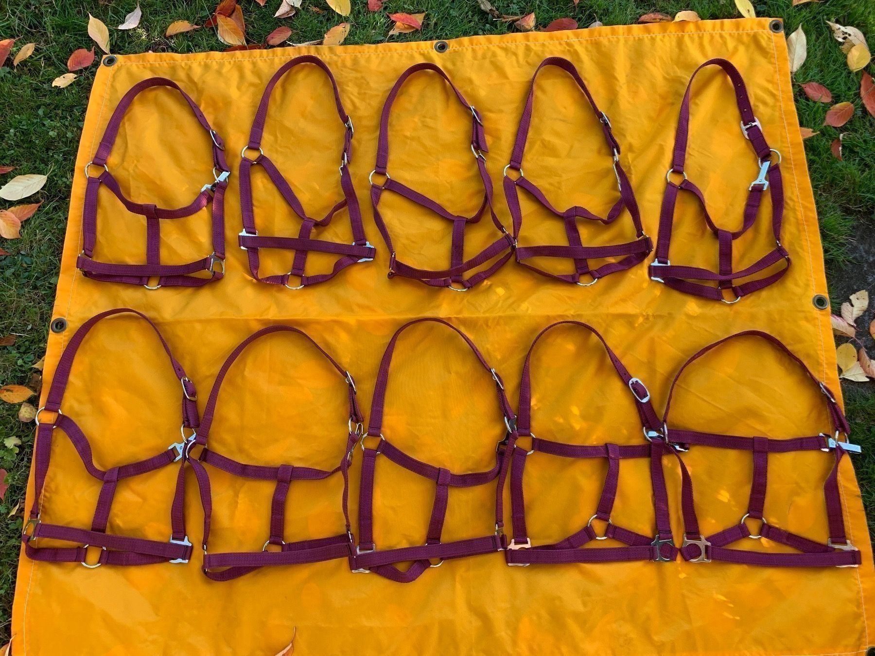 Briglie & Cavezze: 10 schöne Nylonhalftern – Usato da Feldbach venduto da Fea1 8