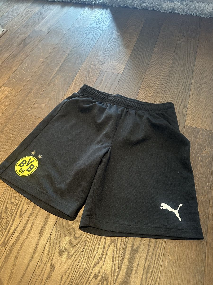 Puma Pantaloni: Puma BVB Borussia Dortmund Training Shorts - Size M – Usato da Richterswil venduto da Ramar05