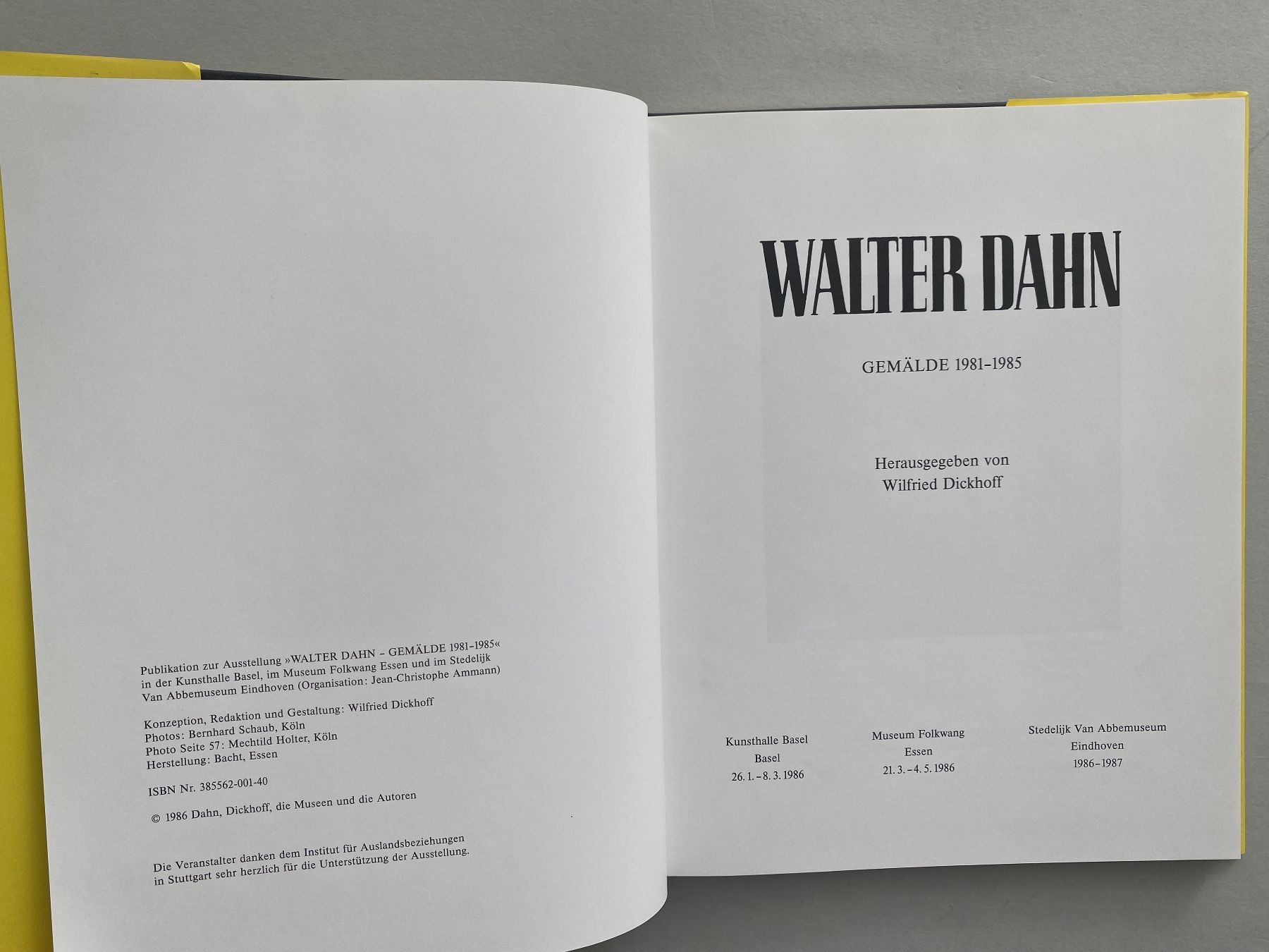Libri: Walter Dahn: Gemälde 1981-1985, Katalogbuch Selten! – Usato da Zürich venduto da lesgarcons 1