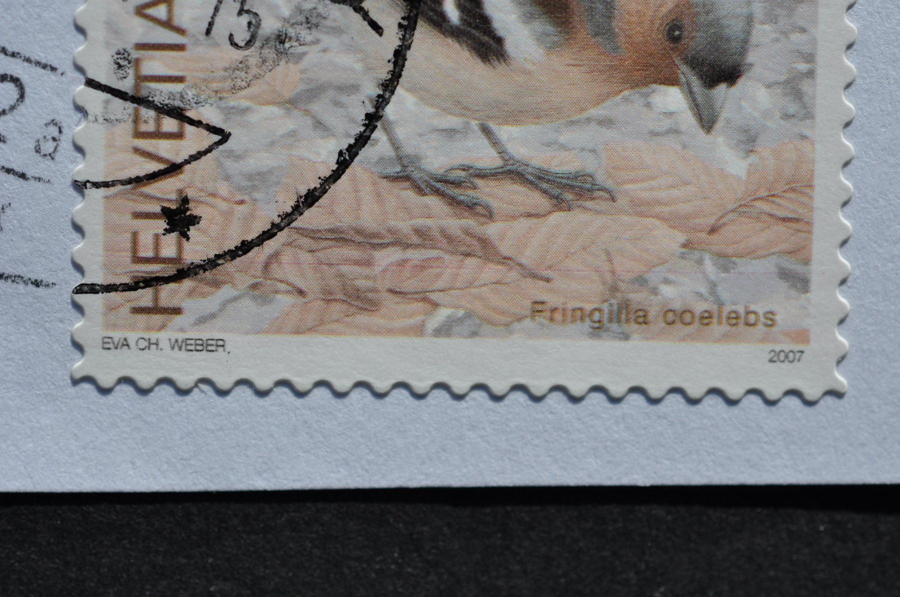Tutti i francobolli: Abart Buchfink mit rotem Wisch-Strich – Usato da Worb venduto da Buespy 3