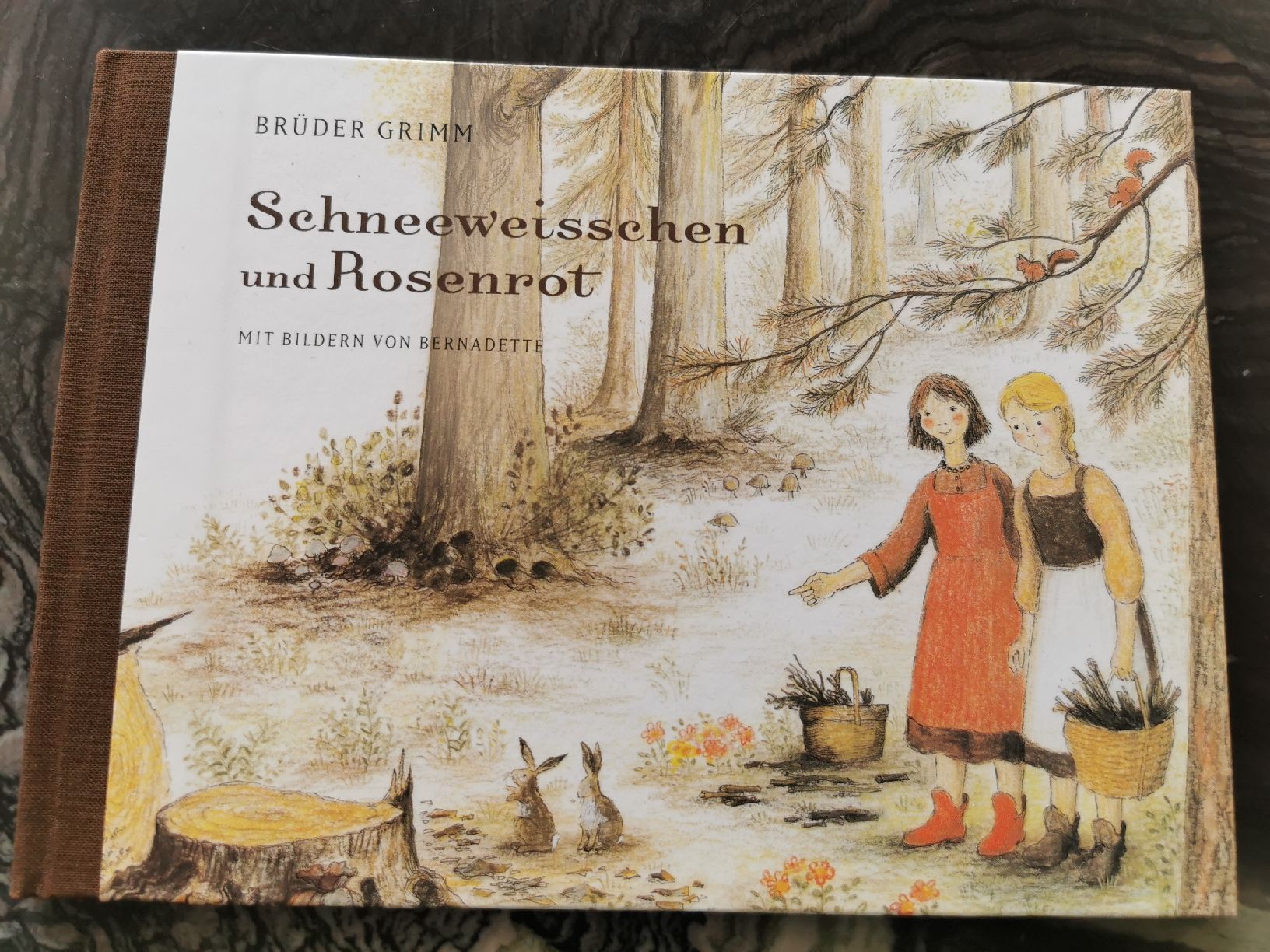 Libri: Märchenbuch Schneewittchen und Rosenrot, Brüder Grimm – Nuovo (secondo la descrizione) da Flurlingen venduto da Ferrari14