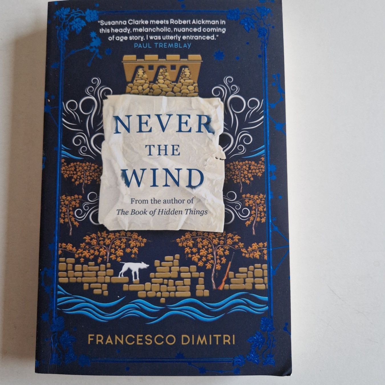 Libri: Never the Wind – Usato da Rüti ZH venduto da Gigelisuppe