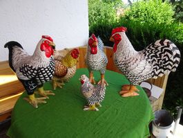 Alte Hühner Familie