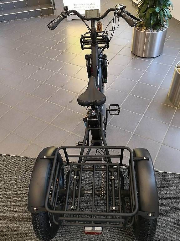 Velos: Dreirad EBike – Gebraucht aus Lyssach von Hoferbike 2