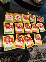 Panini World Cup 26 TUN 14Stk