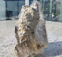 Überlebt im Schutt des Gletschers.  Ohne Schäden!