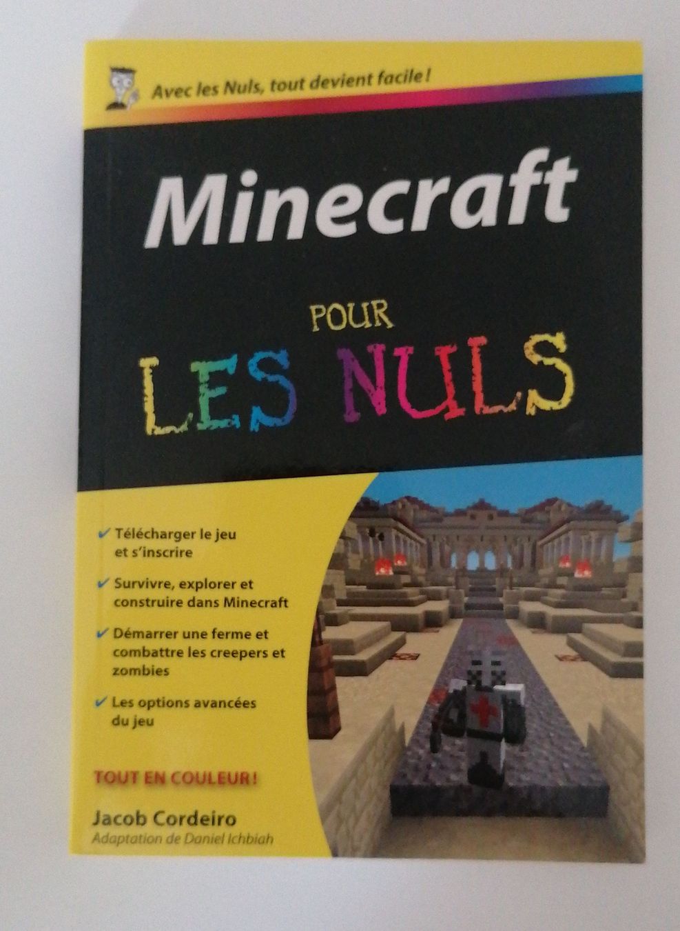 Libri: Livre Minecraft pour les Nuls  – Nuovo (secondo la descrizione) da Ecublens VD venduto da loi_dy6b
