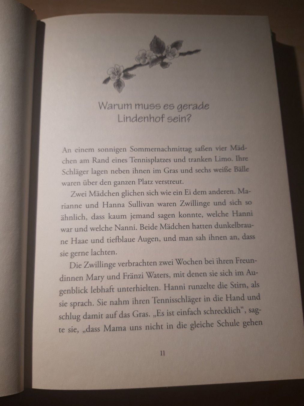 Libri: Hanni und Nanni sind immer dagegen – Usato da Egliswil venduto da Cracky81 3