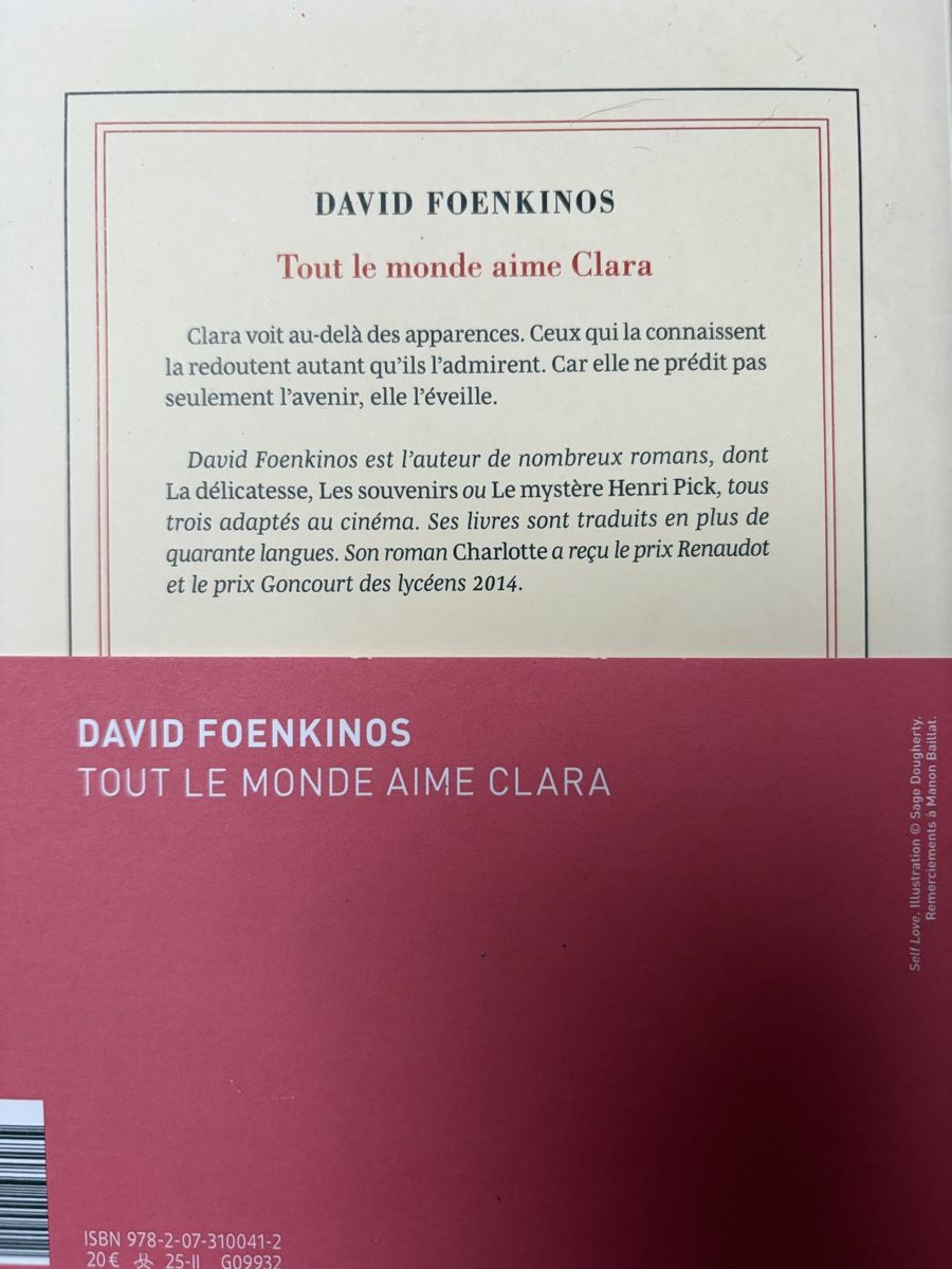 Libri: Lot 3 romans de David Foenkinos  – Usato da Crissier venduto da Nouchki76 1