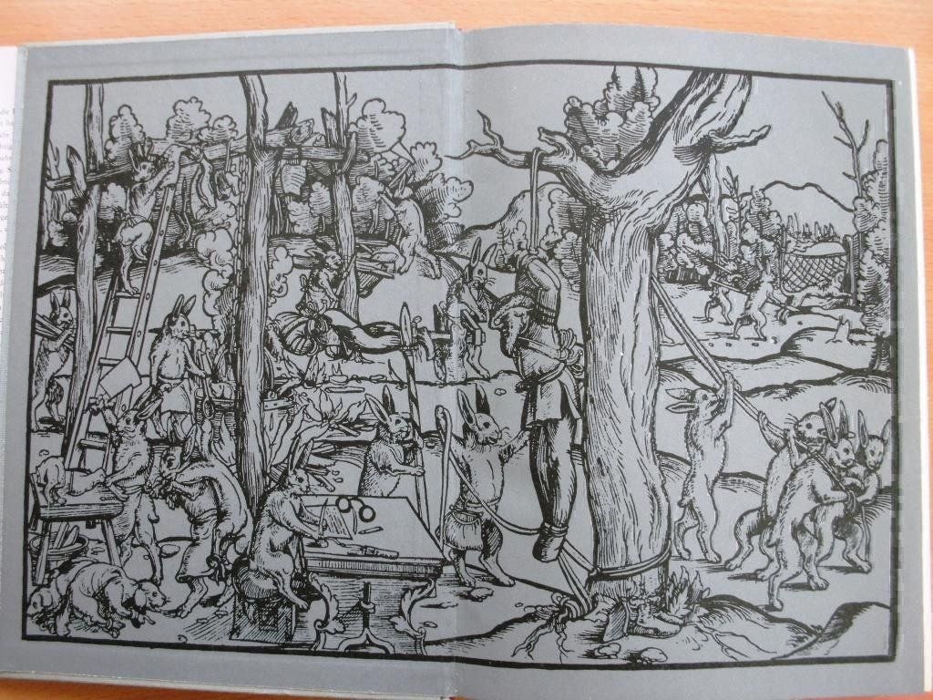 Libri: Das grosse Buch der Fabeln – Usato da Grenchen venduto da Kogi7 2