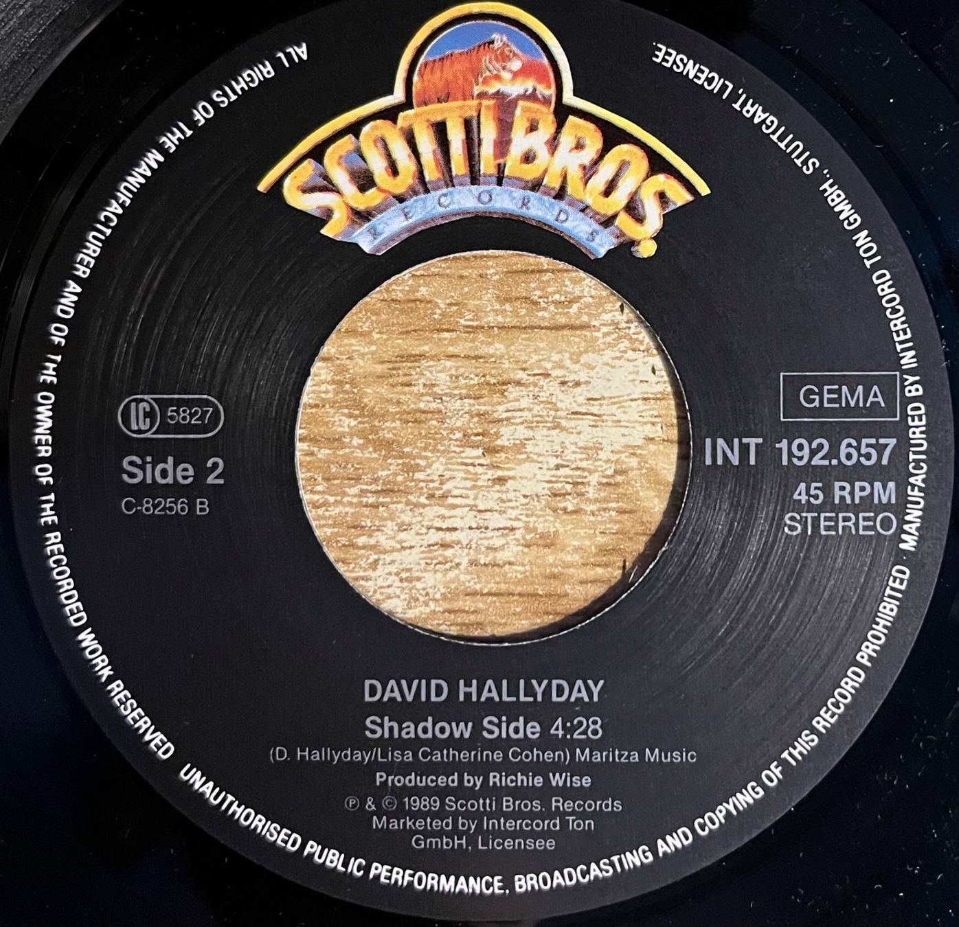 Dischi in vinile: DAVID HALLYDAY - WANNA TAKE MY TIME – Usato da Bussigny venduto da vinyl-pas-cher 3