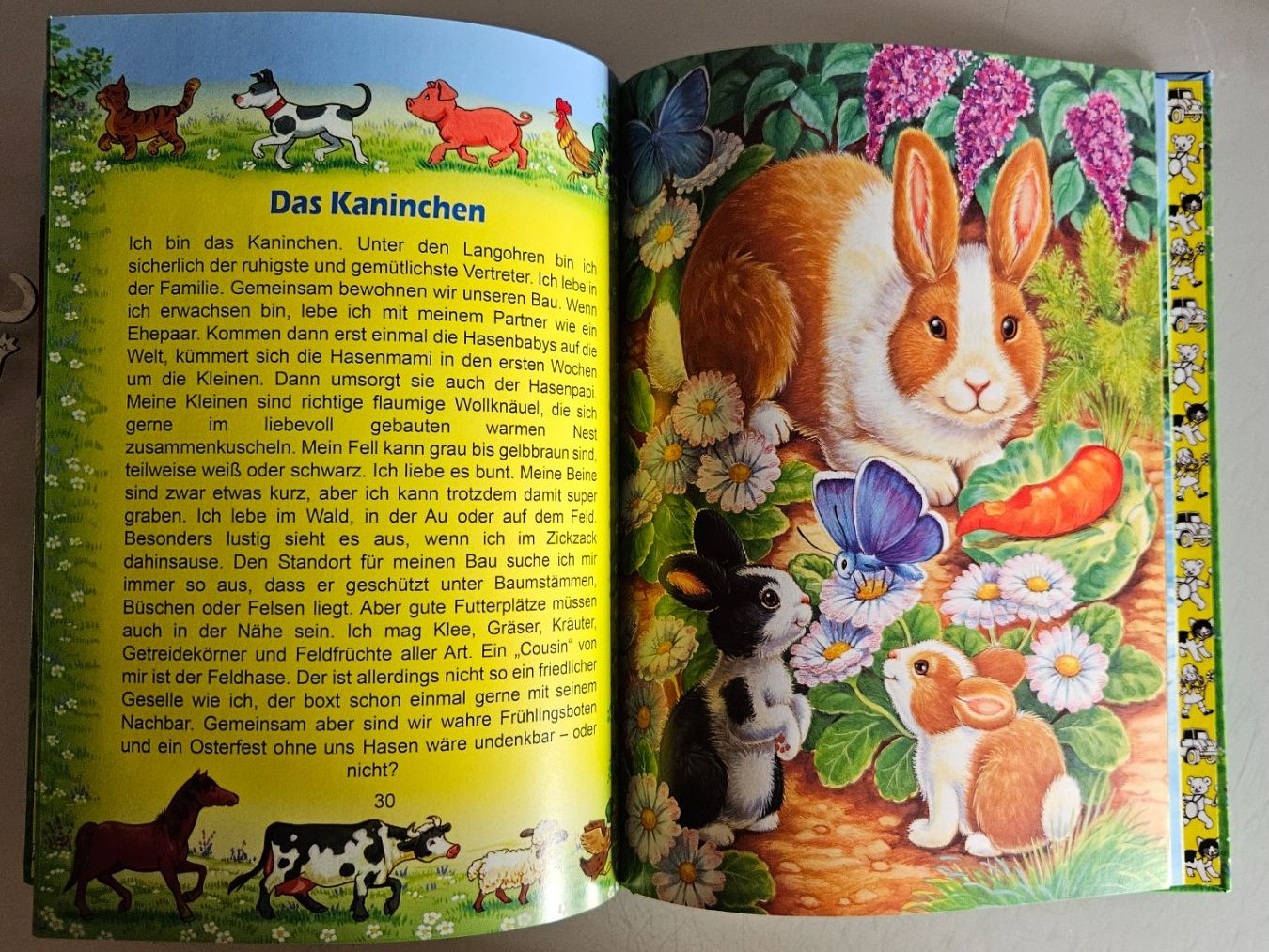 Libri: Tierbuch mit Holzanhängern und Stofftier – Usato da Basel venduto da True_Hofer_Store 5