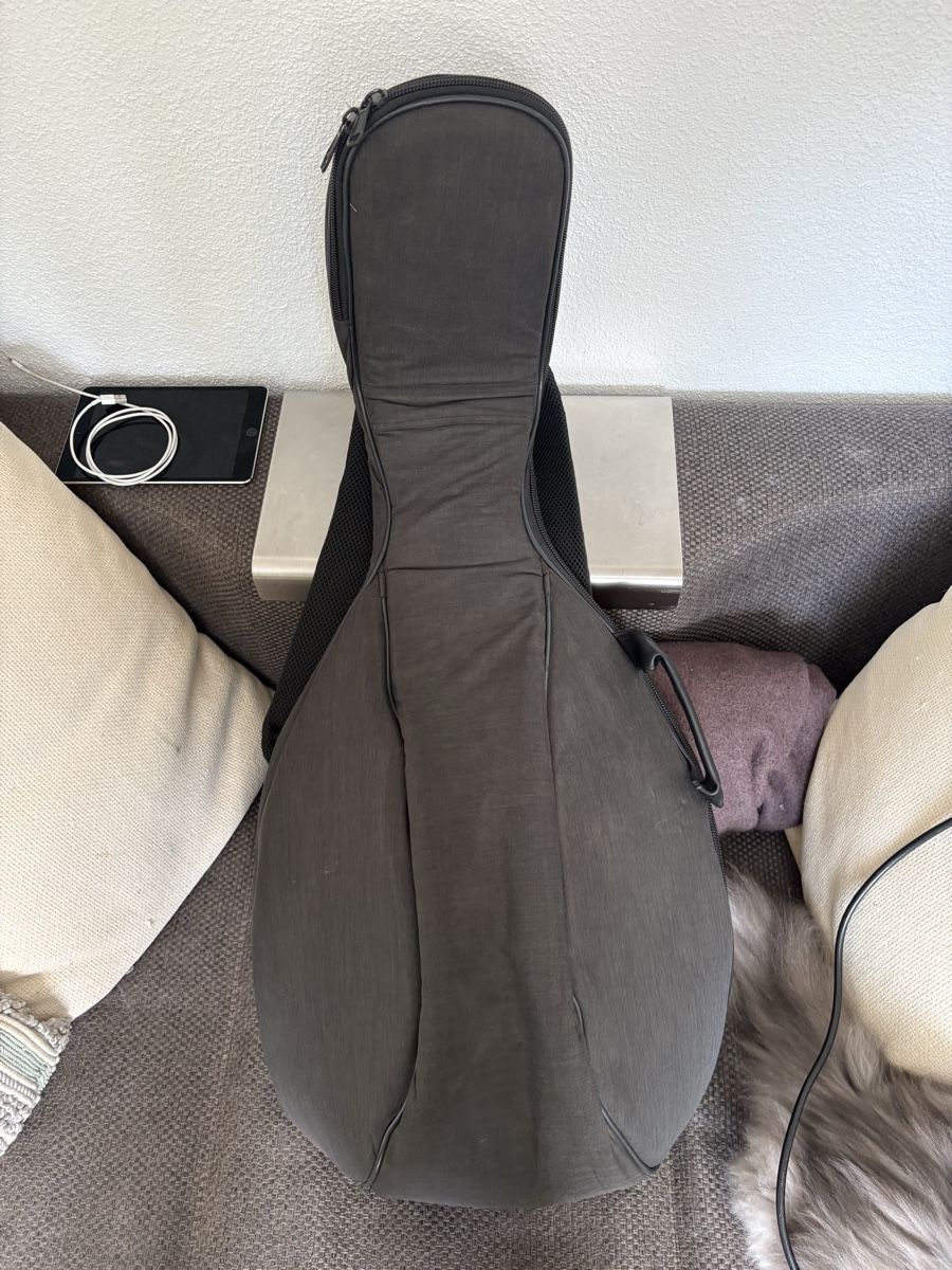 Musikinstrumente: Sultan Arabic Electric Oud – Gebraucht aus Zürich von bluesrockgear 4