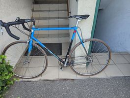 Zu verkaufen: Koga Miyata Retro-Rennrad