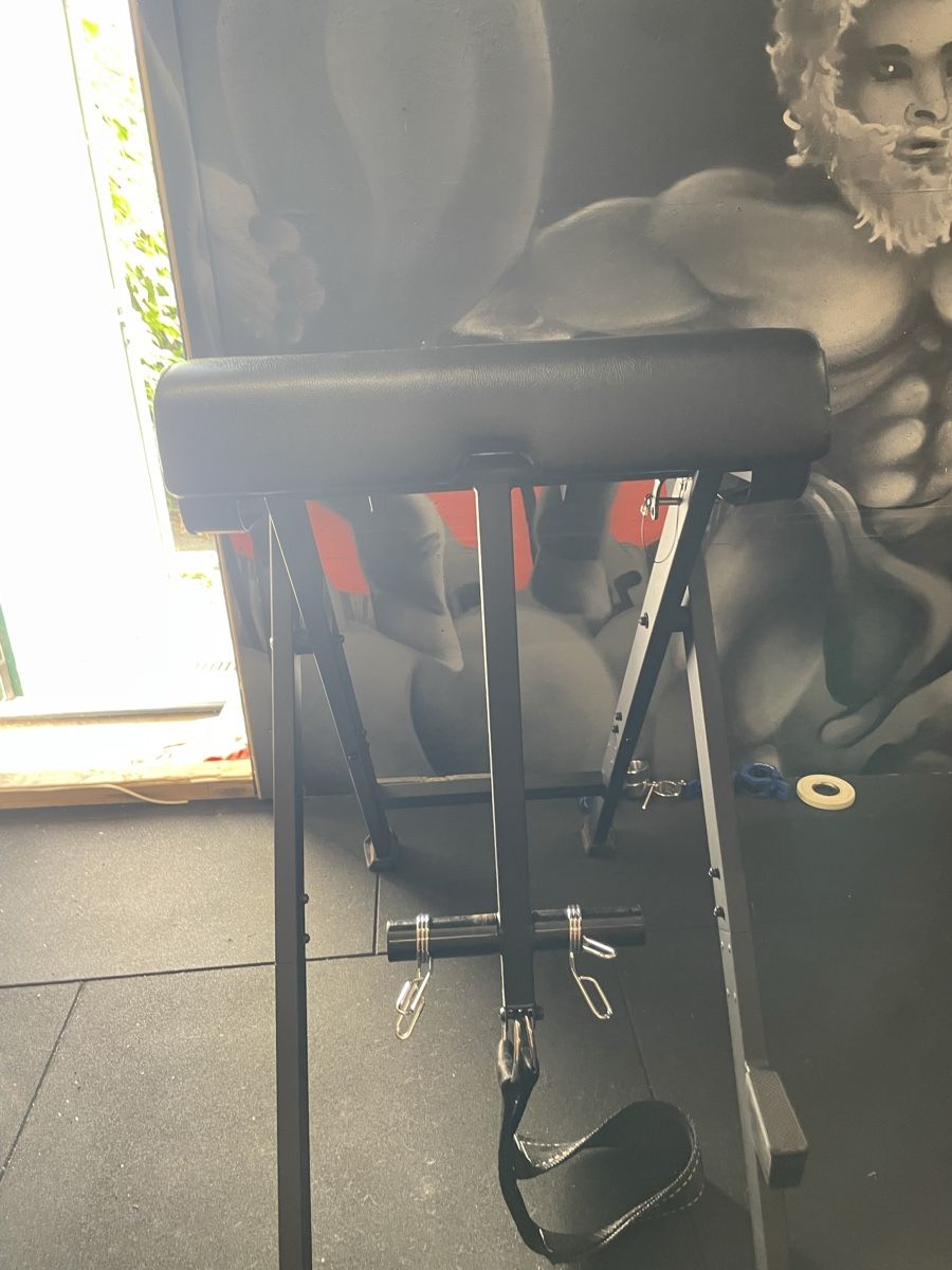 Hometrainer: Westside Barbell Reverse Hyper – Usato da Dällikon venduto da balu814 4