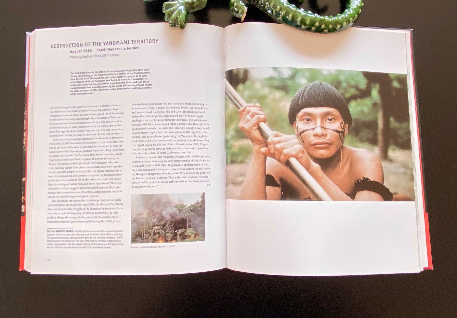 Bücher: PHOTOS THAT CHANGED THE WORLD – Gebraucht aus Nussbaumen AG von schuba2000 6