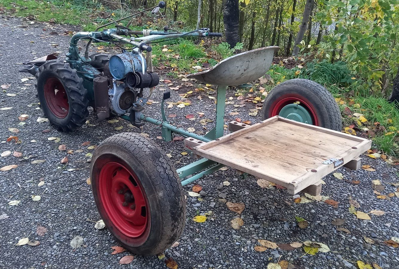 Tutte le macchine: Motormäher Jrus mit Anhänger – Difettoso da Frick venduto da 1mets 2
