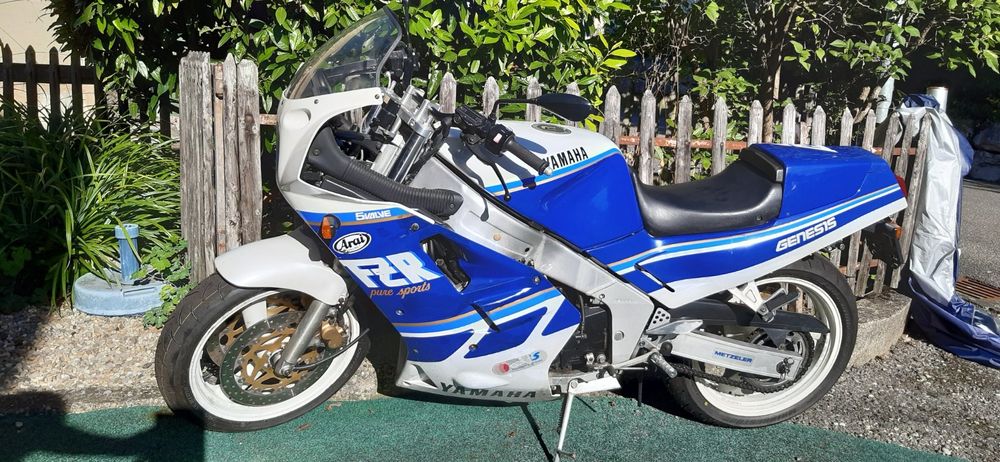 Yamaha FZR 1000 Kaufen auf Ricardo
