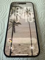 iPhone 14 Pro 256GB Rückseite gesprungen 85% Akkukapa