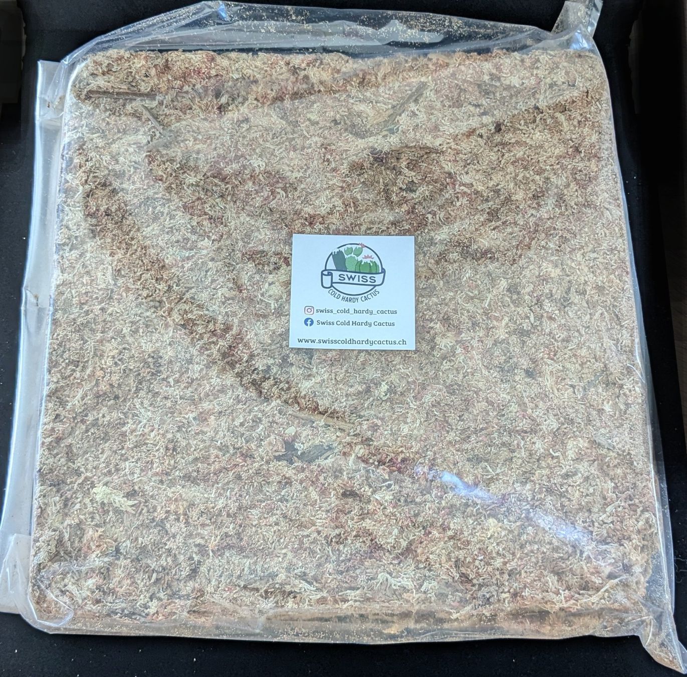 Piante & sementi: Sphaigne séchée du Chili 500g – Usato da Vuisternens-Romont venduto da Cold_cactus