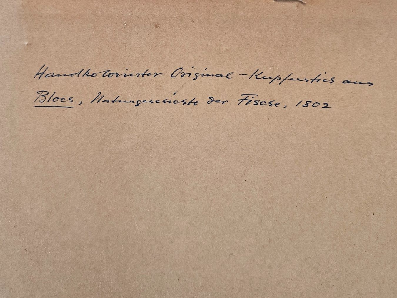 Stiche: Handkolorierter Original-Kupferstich – Gebraucht aus Galmiz von bea_hff8 4