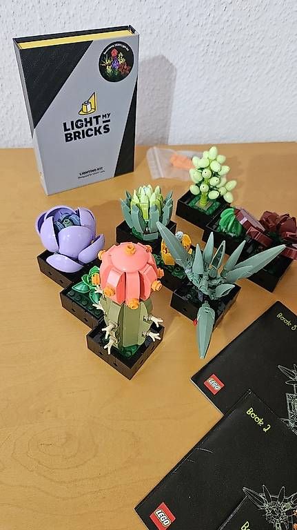 Lego Giocattoli: Sukkulenten 10309 LEGO Botanical & bricks LED Licht Set – Usato da Ebmatingen venduto da RetroVans 2