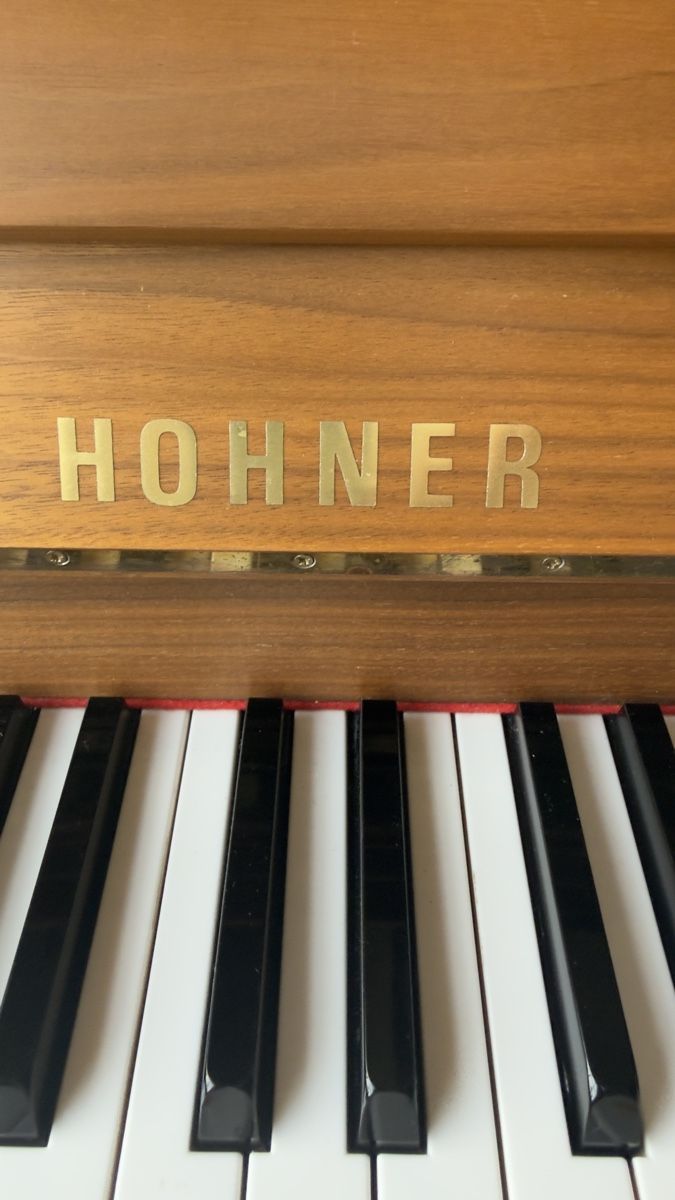 Hohner Strumenti musicali: Hohner Modell 106-1 – Usato da Dällikon venduto da Niklas2000 5