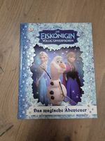 Kinderbuch Die Eiskönigin