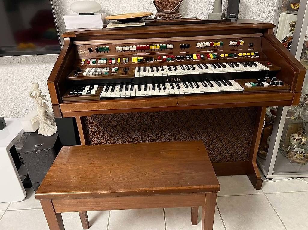 Strumenti musicali: Orgue de salon – Usato da Lavey-Village venduto da Dumbine 1