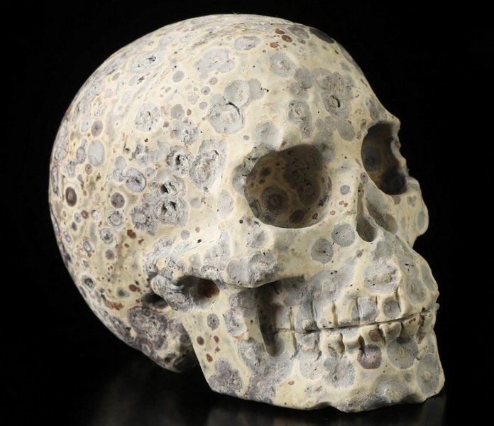 Minerali & Pietre curative: Asteroiden Jaspis Skull – Nuovo (secondo la descrizione) da Walenstadt venduto da vkt_qc8d 1