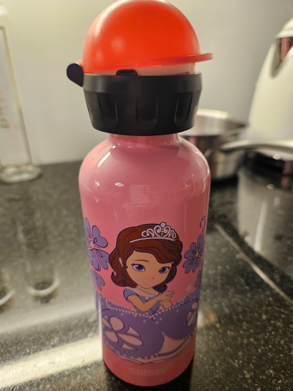 Sigg Borracce & Thermos: Sigg KBT Disney - SOFIA the first - NEU – Nuovo (secondo la descrizione) da Niederbipp venduto da FeenWERK 1