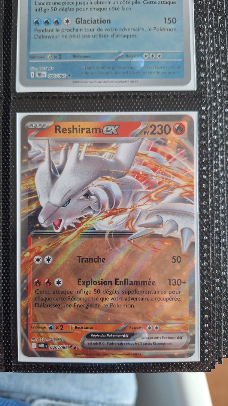 Pokémon Carte collezionabili: Reshiram ex - Flamme Blanche – Usato da Altstätten SG venduto da GGsGameshop