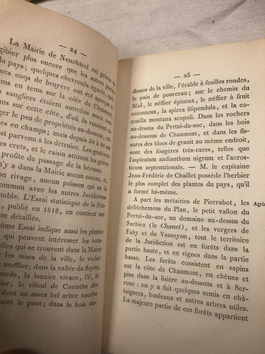 Libri: "Description topographique de la juridiction de Neuchâtel" – Usato da Bôle venduto da nic_7cxp 2