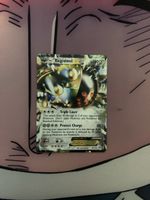 Pokemon Registeel EX Sammelkarte Hoheit der Drachen
