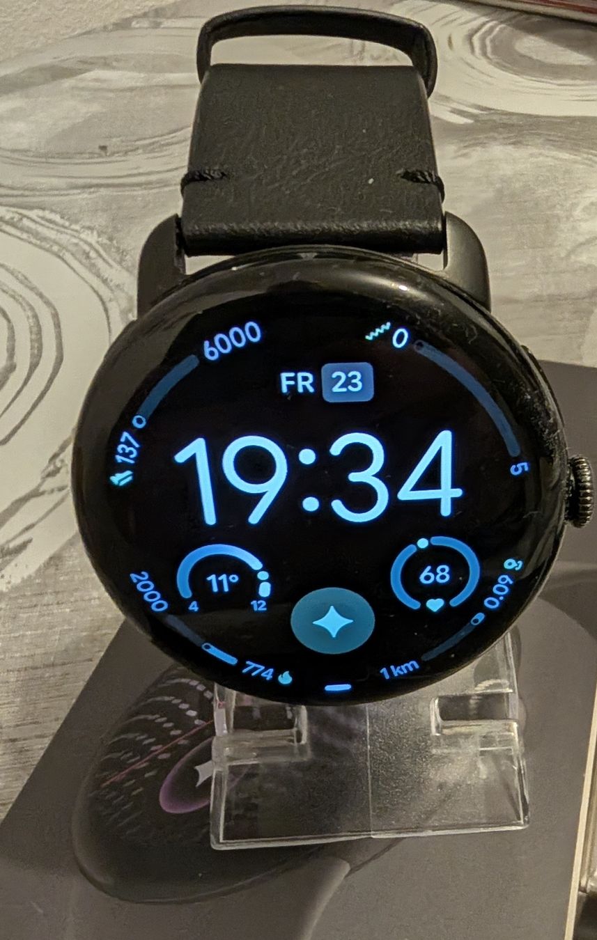 Google Smartwatch: Google Pixel Watch 5 – Gebraucht aus Tobel von Snicket 2