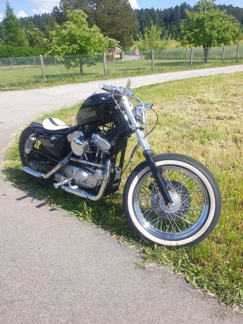 Harley-Davidson Chopper: Harley Davidson Spezialumbau - eingetragen – Gebraucht aus Hittnau von v-v-onlineverkauf 2