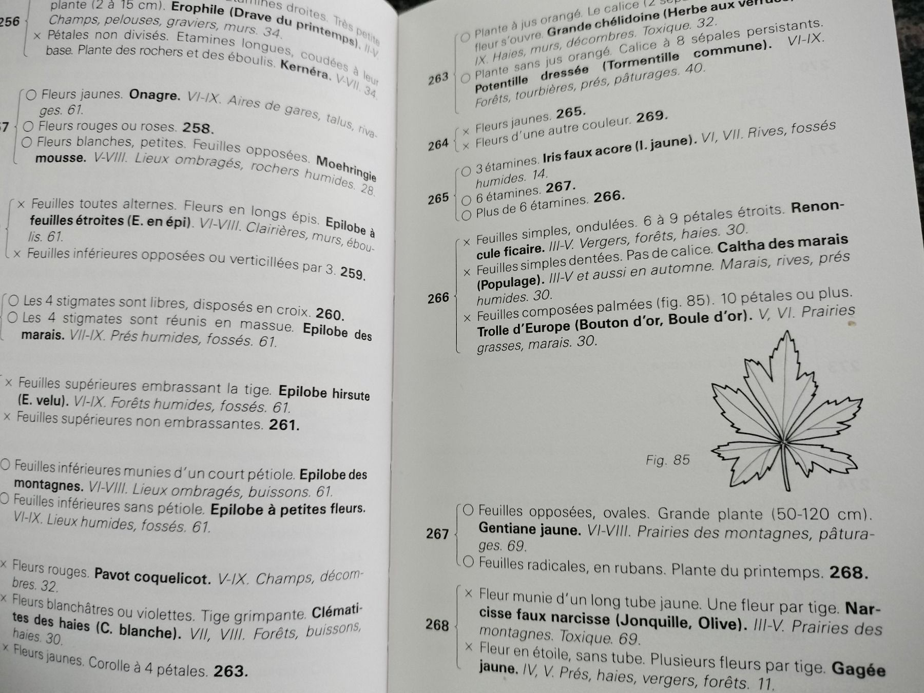 Libri: LE PETIT BOTANISTE ROMAND A. MONARD – Usato da Cortaillod venduto da rozinna 3