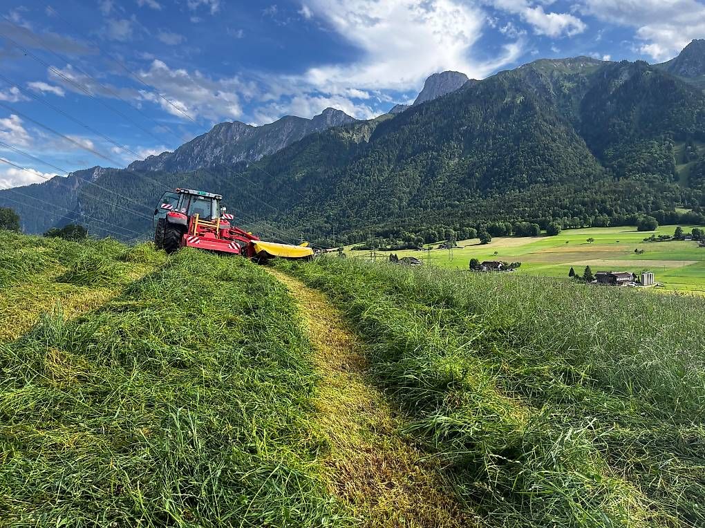 Tracteurs: Pöttinger Seitenmähwerk mit hitch – D'occasion à Uebeschi par pat_rv82 1