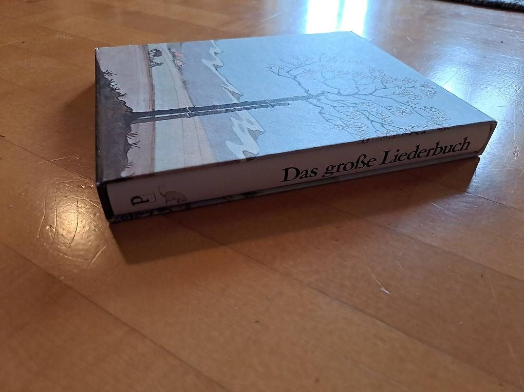 Libri: Das grosse Liederbuch - Diogenes - Gebundene Ausgabe – Usato da Winterthur venduto da 77tigerente 4
