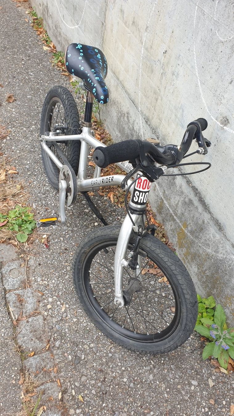 Early Rider Biciclette: Early Rider 16" – Usato da Brügg BE venduto da admawa 5