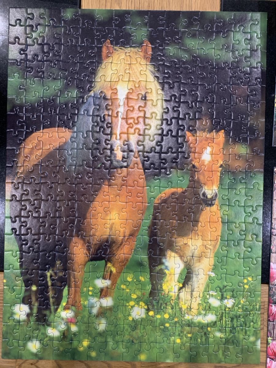Ravensburger Puzzles: Ravensburger Puzzle Lot de 3 . – Neu (gemäss Beschreibung) aus Prilly von Sissi_1009 7