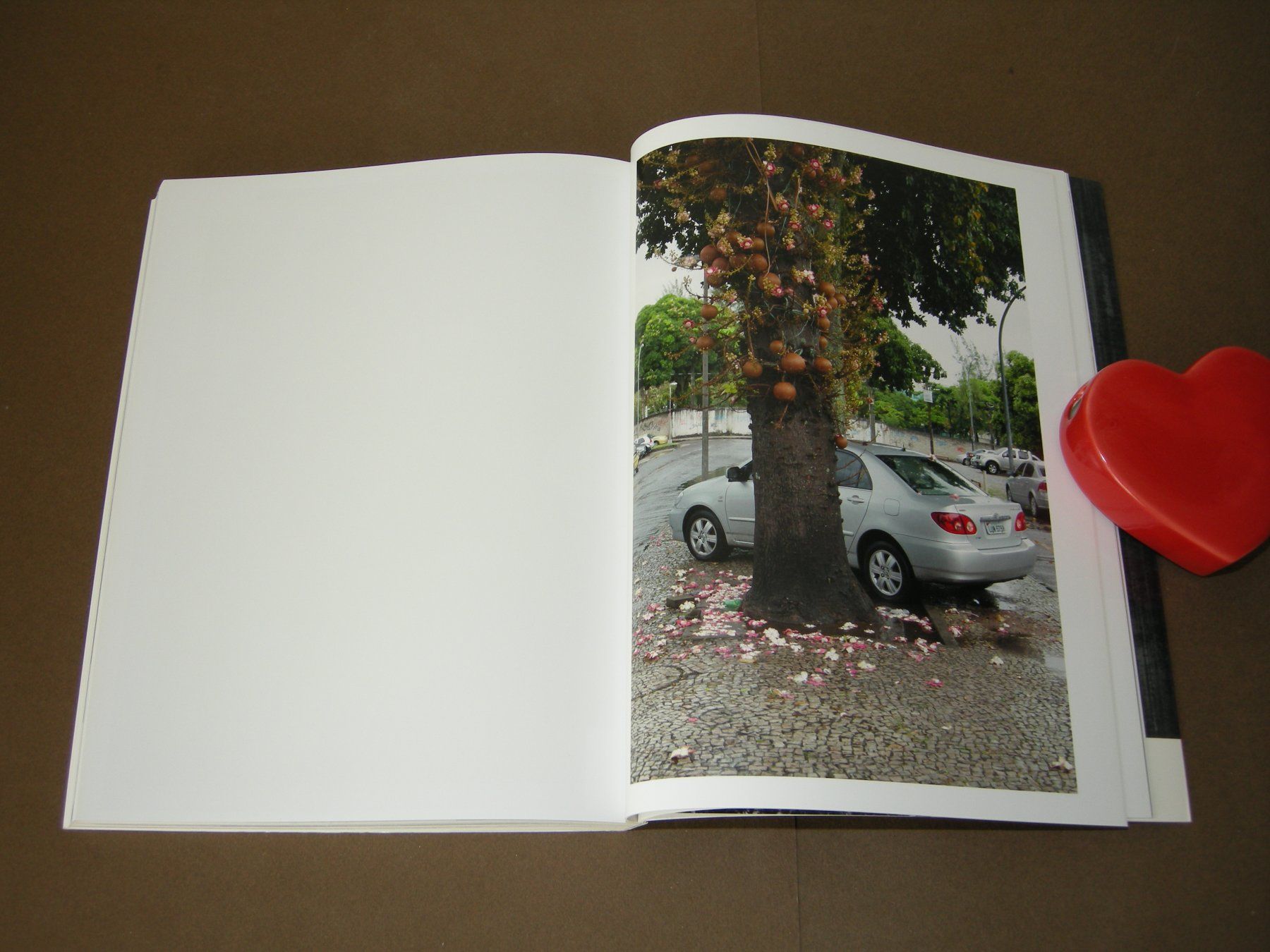 Libri: Wolfgang Tillmans / Neue Welt 2012 – Usato da Aarau venduto da Pearlz 9