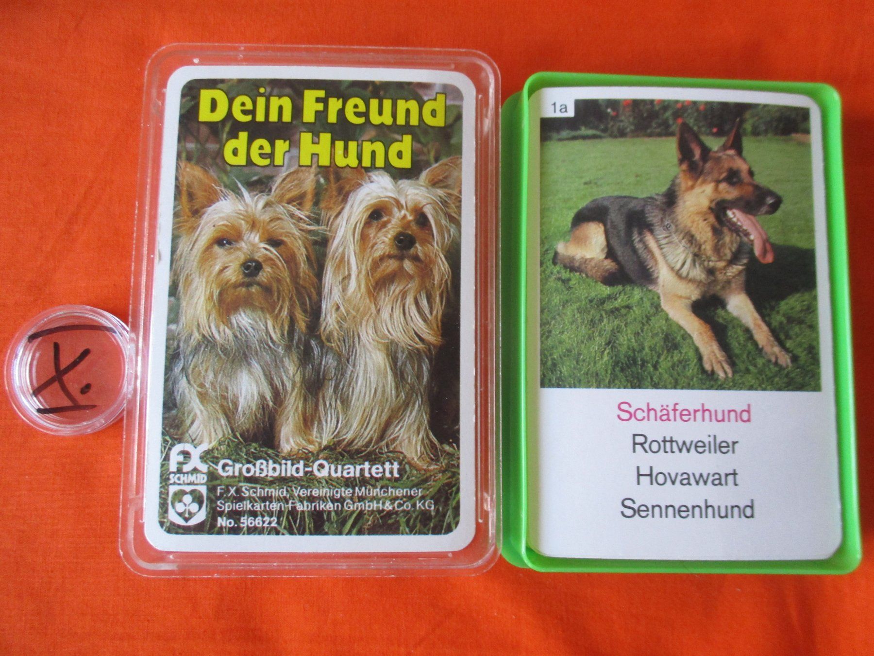 Giochi: Quartett 56622 dein Freund der Hund – Usato da Birsfelden venduto da alles-muss-raus