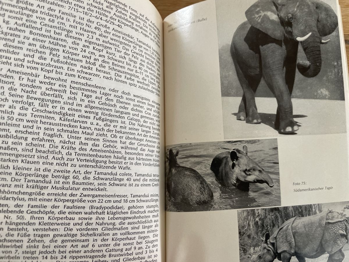 Libri: Die Tierwelt nach Brehm - Dr. Rudolf Barth – Usato da Winterthur venduto da cheerio97 9