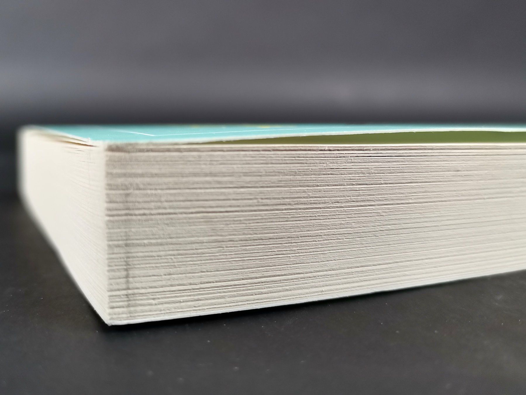 Libri: Buch Sich Selbst Vertrauen – Usato da Schaffhausen venduto da Restwert_SH 5
