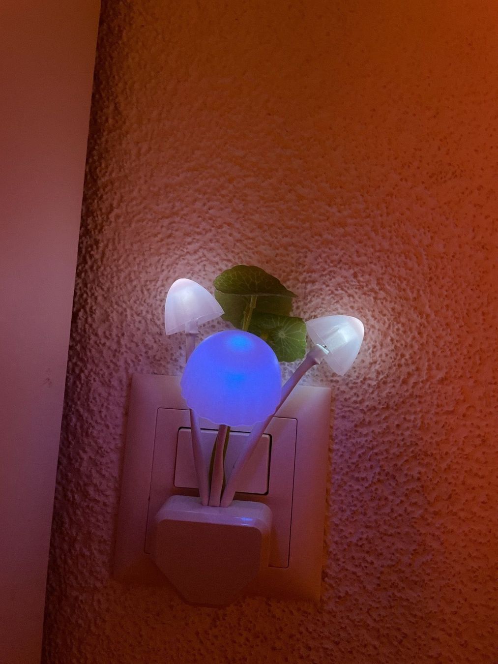 Lampade: LED Lampe – Nuovo e nell'imballaggio originale da Pieterlen venduto da Ksenia3003 2